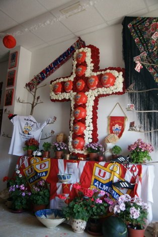 peafrentepitaco3.jpg